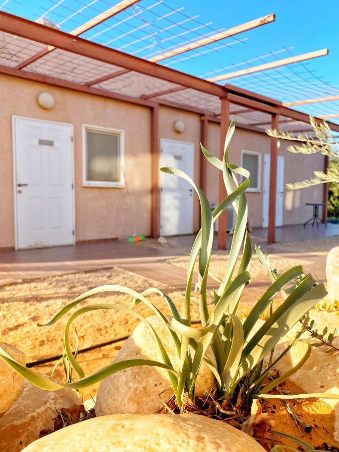 Desert Fantasy Villa Be'er Milka Dış mekan fotoğraf